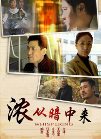 国内精品九一在线播放